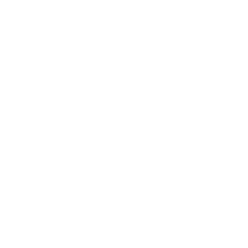 Logo_white